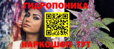 эйфоретик Обнинск