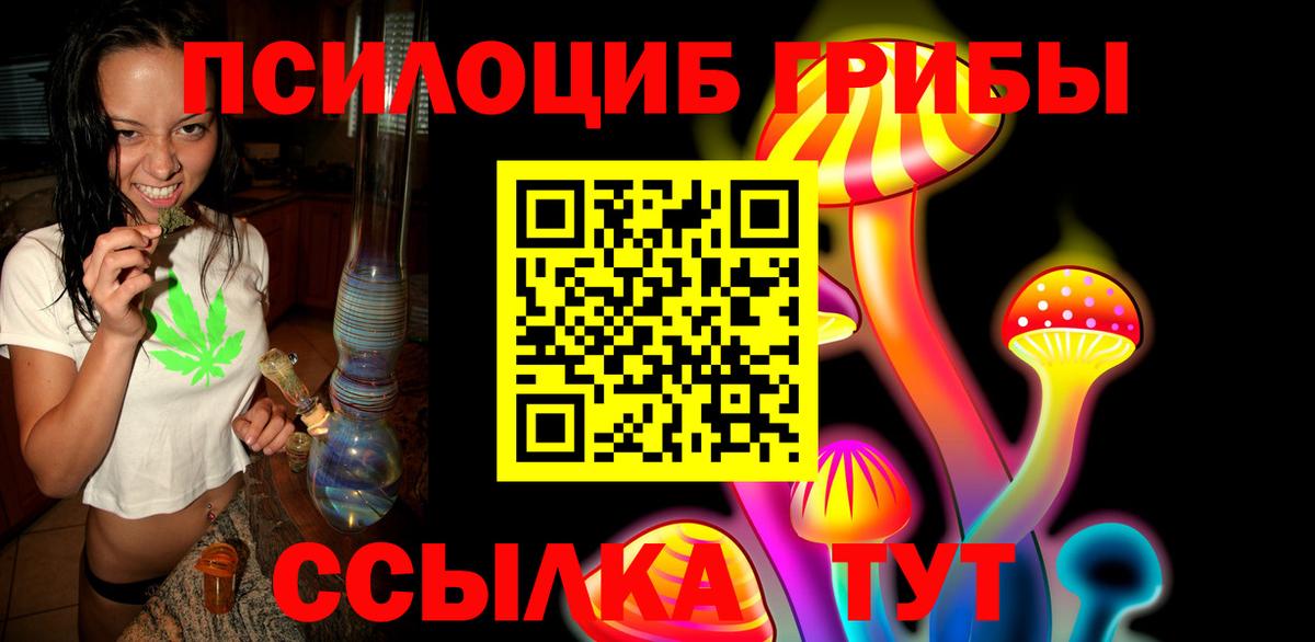 Псилоцибиновые грибы Psilocybine cubensis Ревда